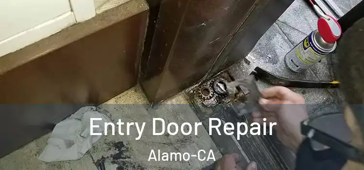 Entry Door Repair Alamo-CA