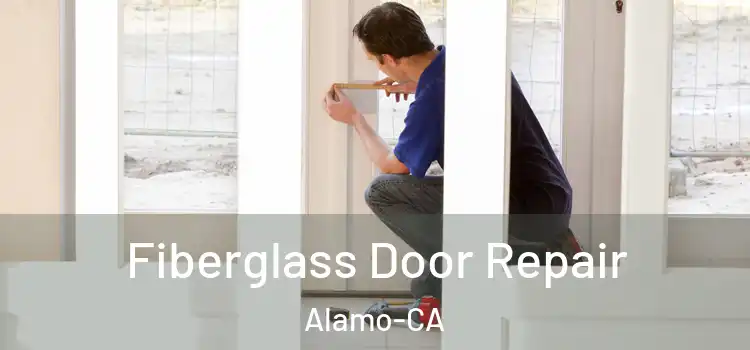  Fiberglass Door Repair Alamo-CA
