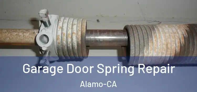  Garage Door Spring Repair Alamo-CA
