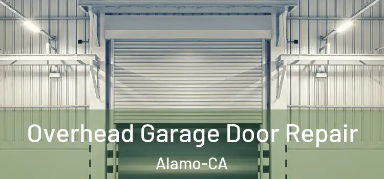 Overhead Garage Door Repair Alamo-CA