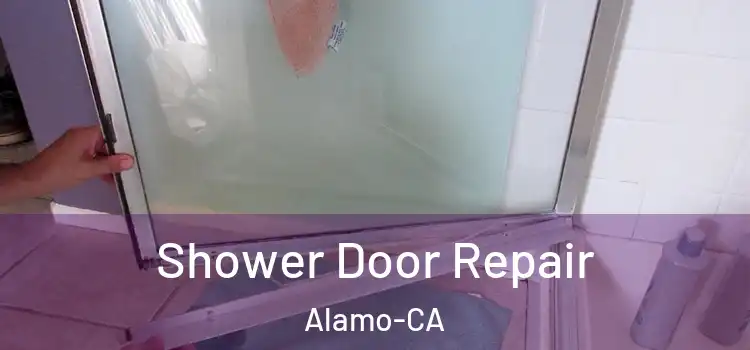  Shower Door Repair Alamo-CA
